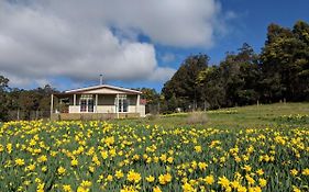 Mountain Blue Guest House